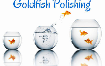 Goldfish Polishing – the art of ineffective professional development